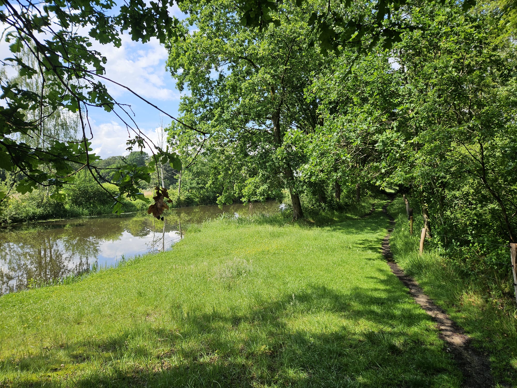 Het pad langs de Regge in Nijverdal