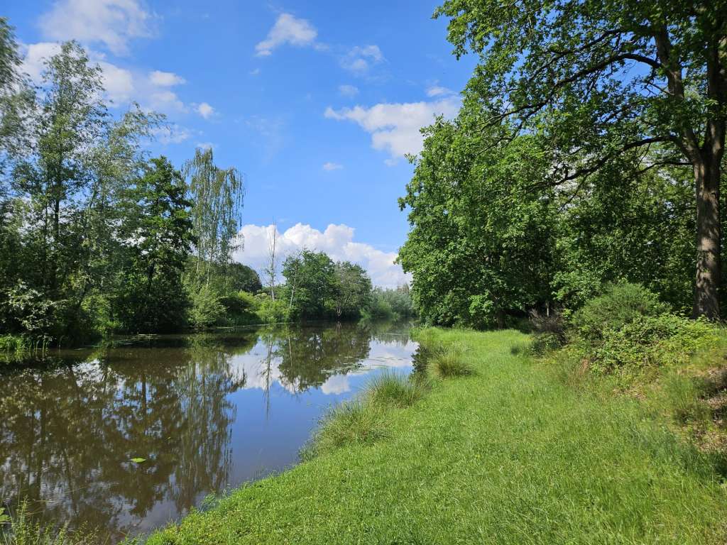 De Regge